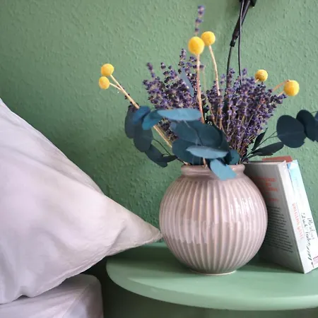 Apartment Vonbehling Boutique Mit 65zoll Tv Und Designerstuecken